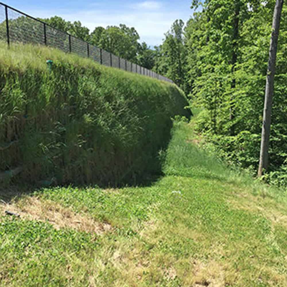 The final results of installing Vegetated Walls to support chain link fencing along side the border of park