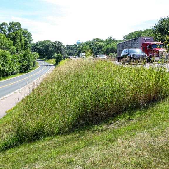 Results showing new vegetation atop a HPTRM