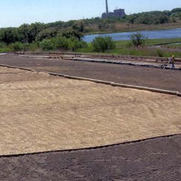 Large installation of a coir mat near a body of water