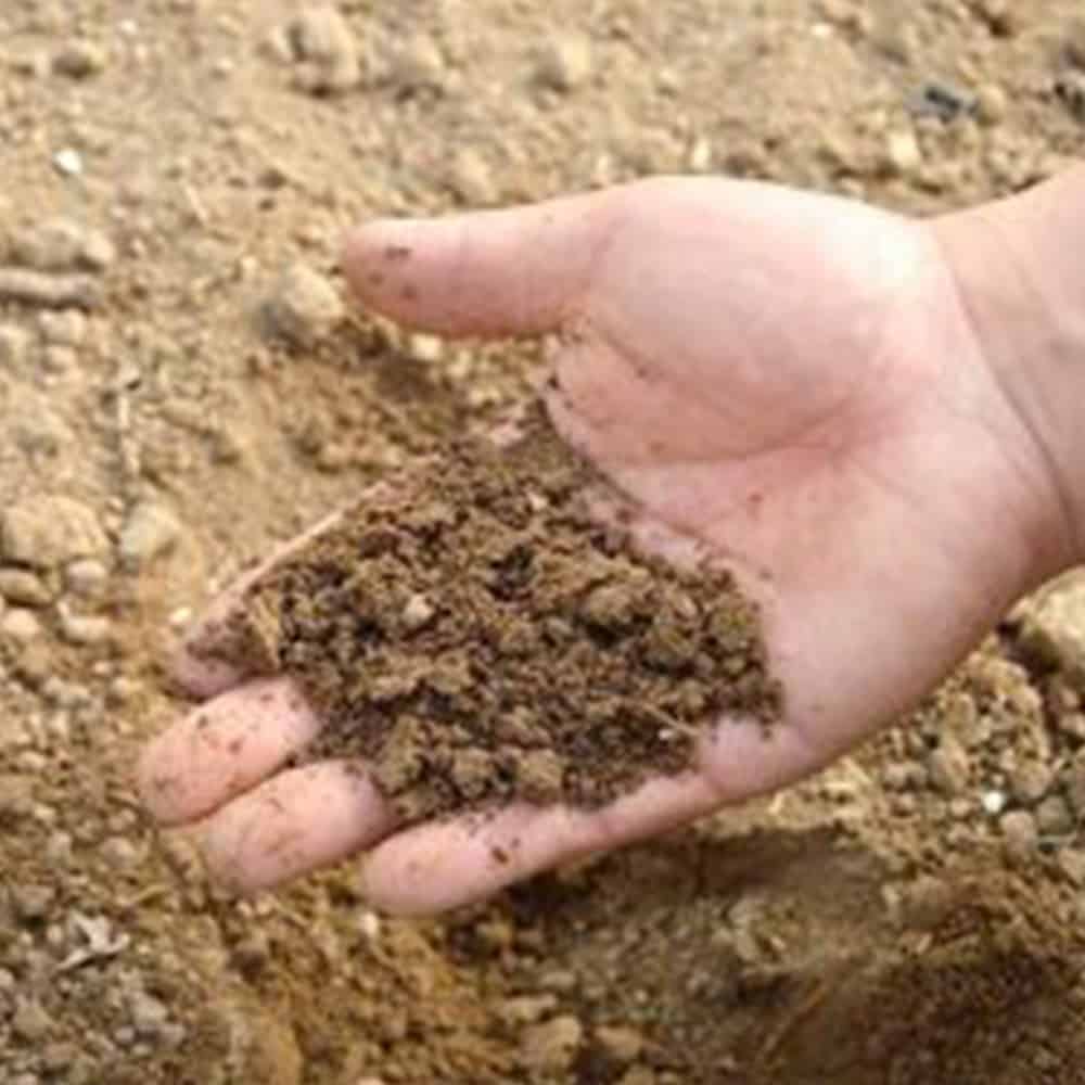 Soil conditioners added to the ground to enhance growth