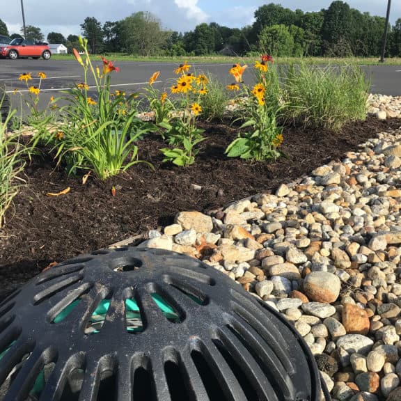 A focalpoint biofiltration system installed in a parking lot with flowering landscape