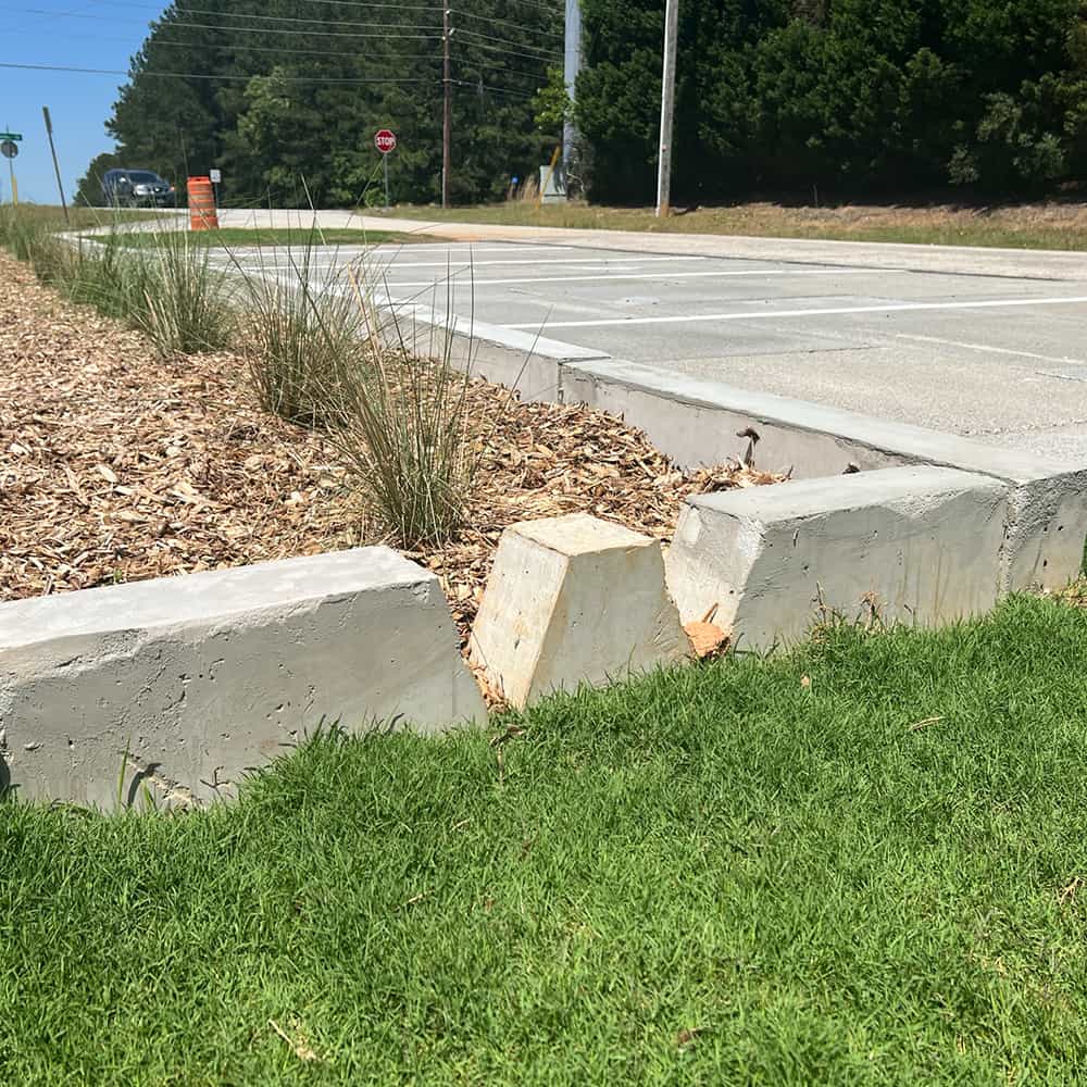 ferguson-waterworks-stormwater-urban-rain-garden-04