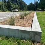 Roadside landscaping that is using an urban raingarden to prevent ponding