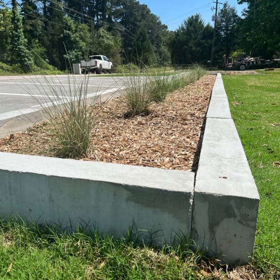 Roadside landscaping that is using an urban raingarden to prevent ponding