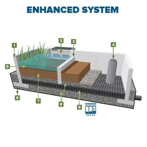 An infographic depicting the layers of an enhanced raingarden system