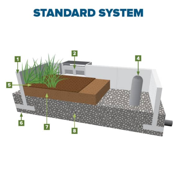 An infographic depicting the layers of a standard urban raingarden system