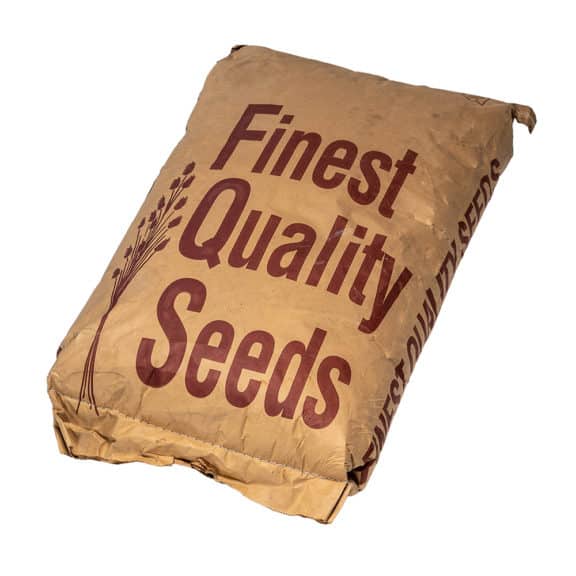 High-quality seeds and grasses for professionals