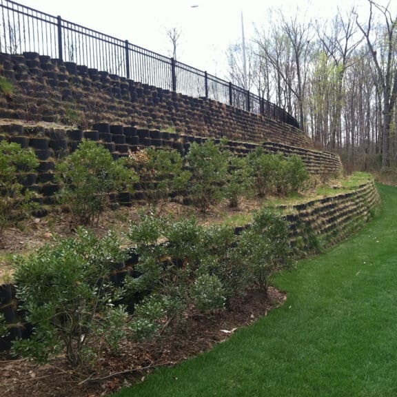 Vegetated Walls