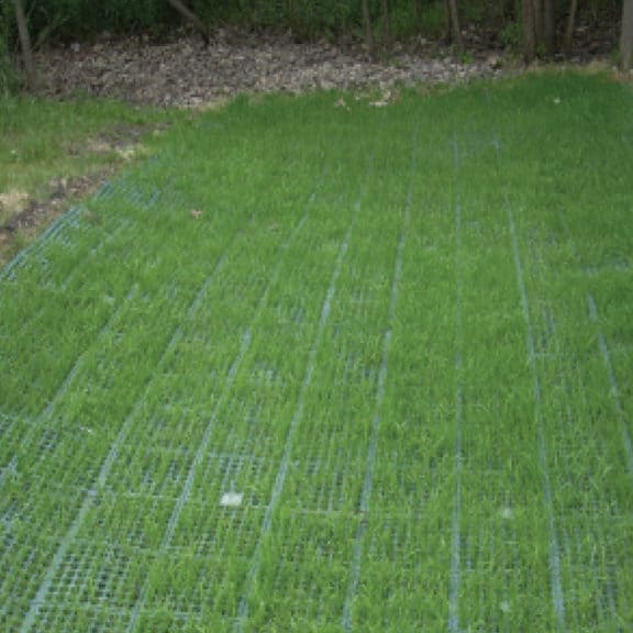 A newly installed Northern American Green Shoremax transition mat