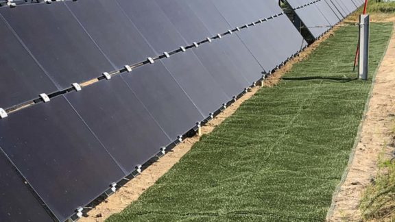 Case studies - Contractors mitigated runoff at a solar farm in Roanoke Rapids, NC