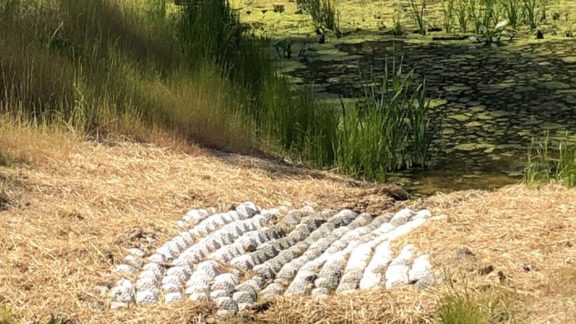 Virginia Department of Transportation stabilized pipe outfall on a busy two-lane road without shutting down traffic - VDOT Case Studies