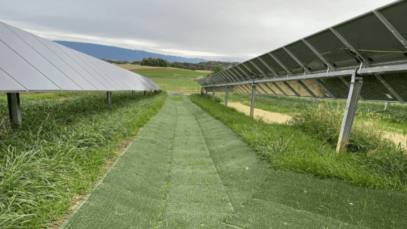 Solar Farm Mount Jackson