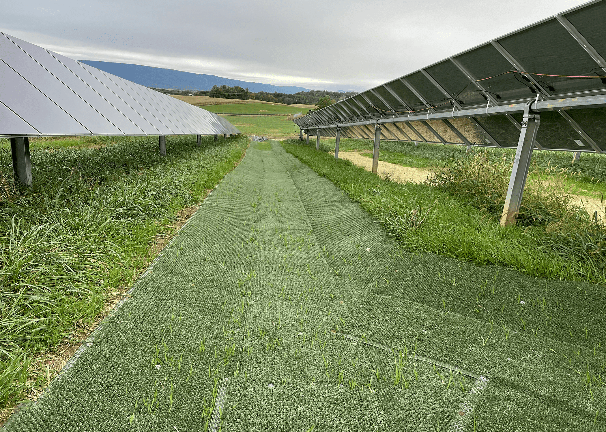 Solar Farm Mount Jackson