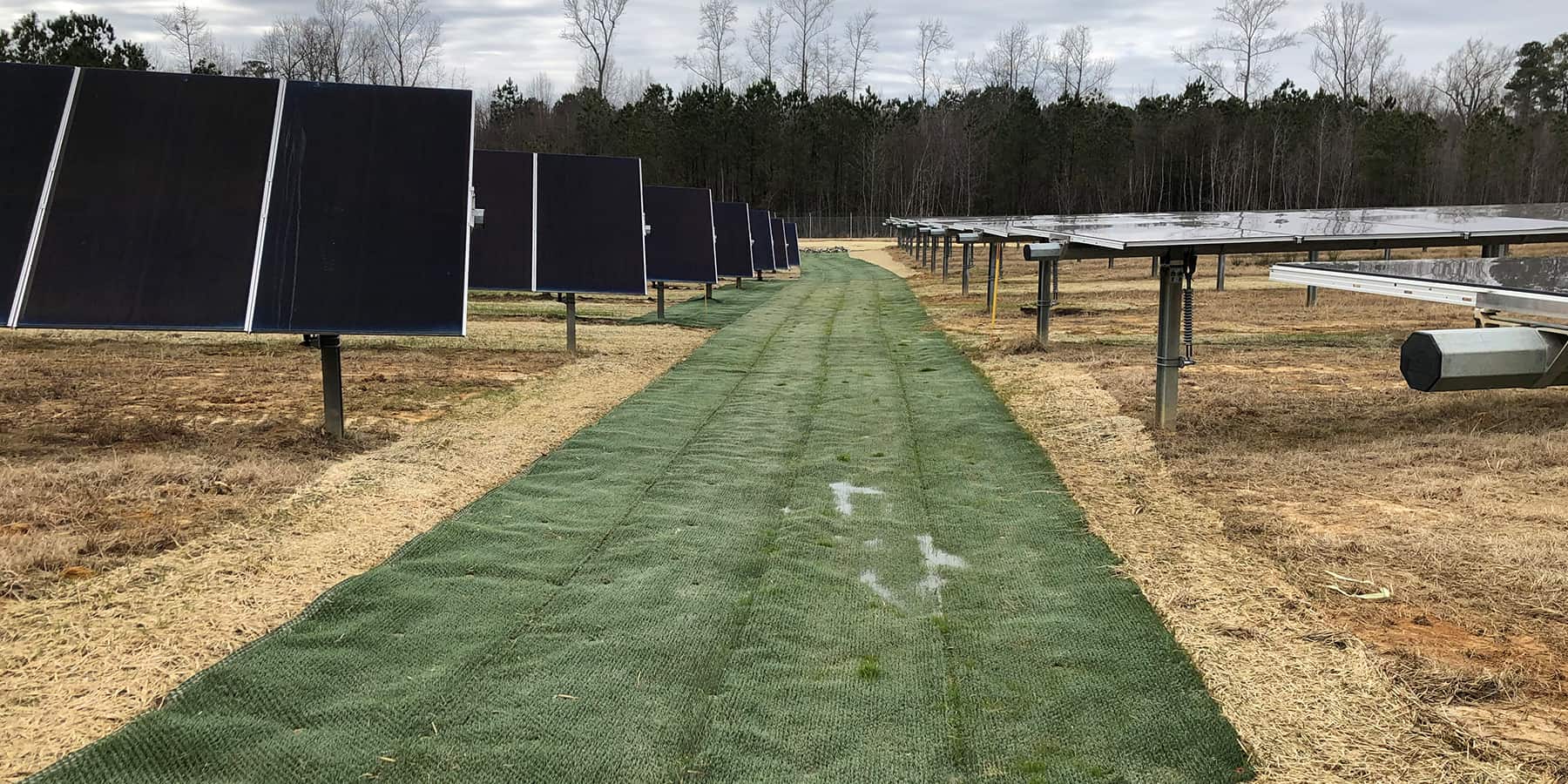 Solar field with straw erosion control products and freshly laid turf